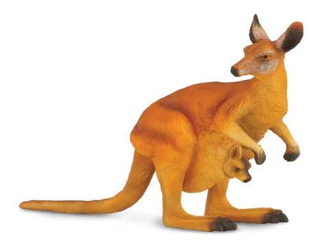 Red Kangaroo & Joey