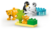 Duplo Wild Animal Families: Penguins & Lions