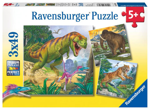 3x49 Pce Primeval Ruler Puzzles