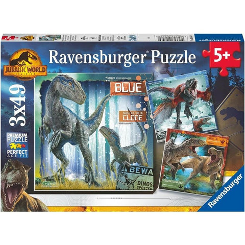 3x49 Pce Restricted Access Dino Puzzles