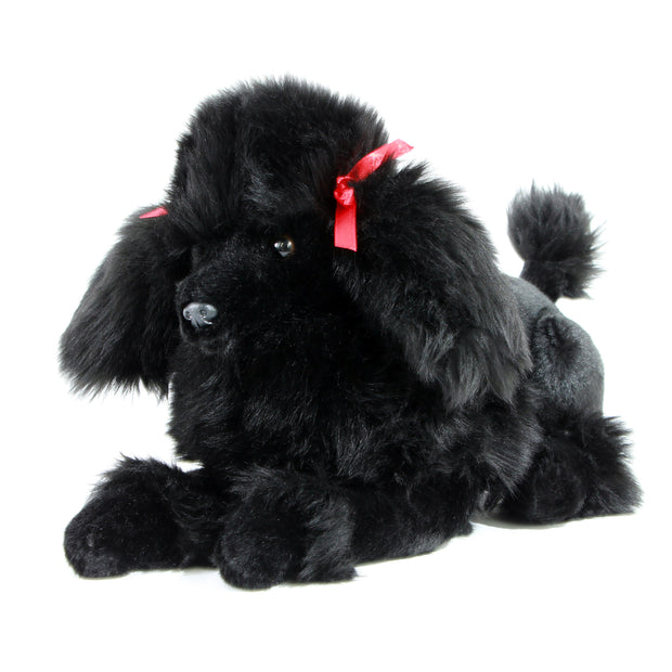 Romeo Black Poodle