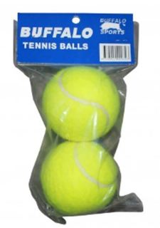 Tennis Balls 2 Pack