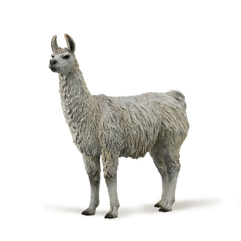 Llama