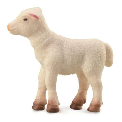 Lamb