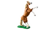 Creator Beautiful Horse