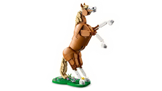 Creator Beautiful Horse