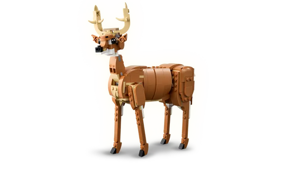 Creator Beautiful Horse
