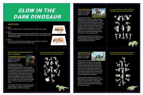 Glow in The Dark Dino Excavation Kit