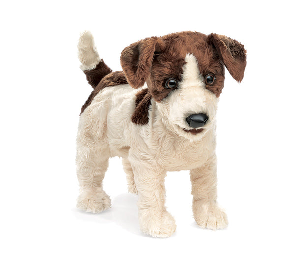 Jack Russell Smooth Coat Puppet