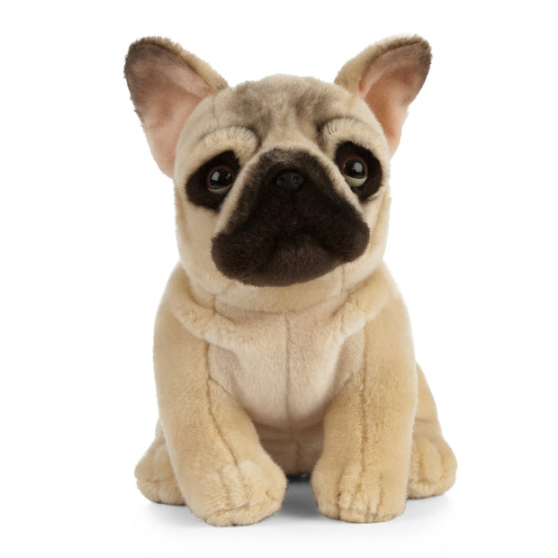 Sitting French Bulldog 24cm