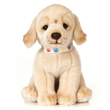 Golden Labrador Puppy 30cm