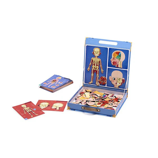 Human Body Multilanguage