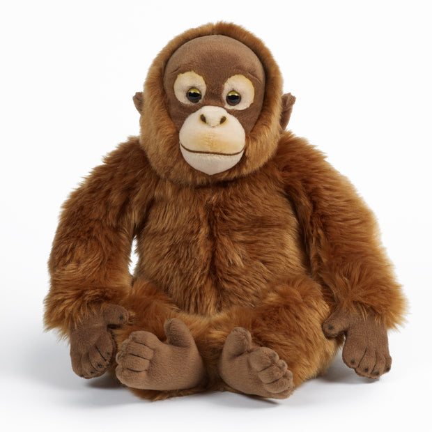 Orangutan 35cm