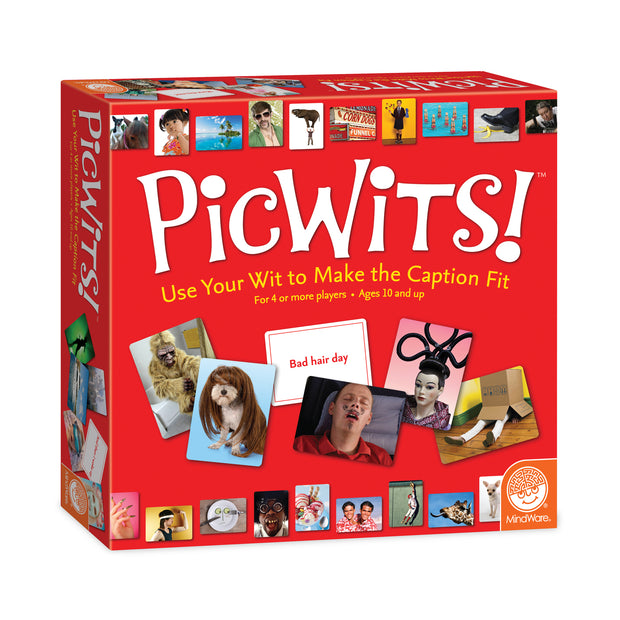 Picwits Picture Game