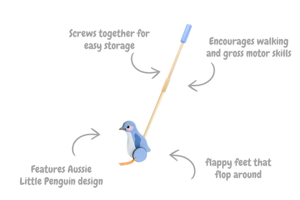 Wooden Push Along Penguin