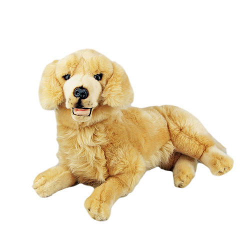 Lucky Golden Retriever Lying 50cm