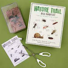 Natural Trail - Bug Habitat