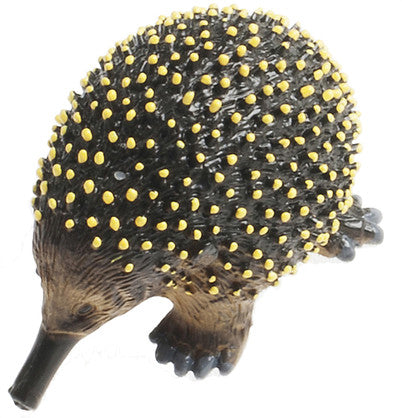 Echidna Small