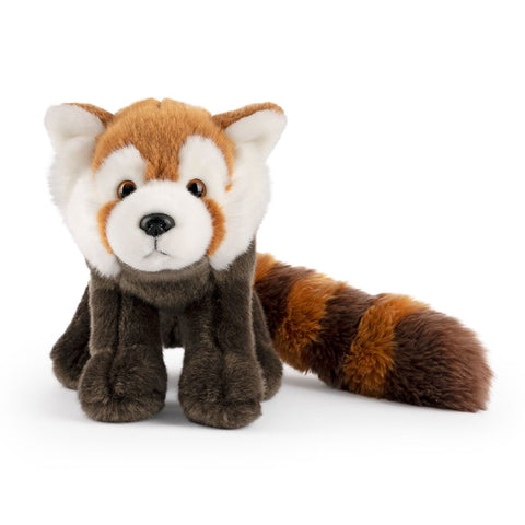 Red Panda - Eco Friendly