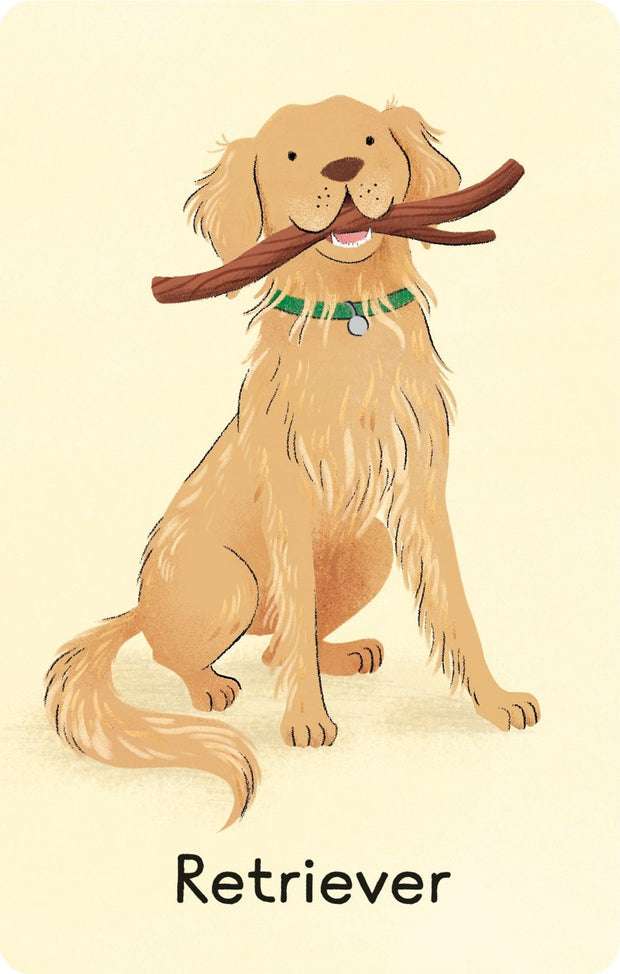 Dogs Snap Cards