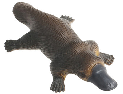 Platypus Small