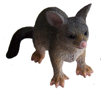 Possum Small