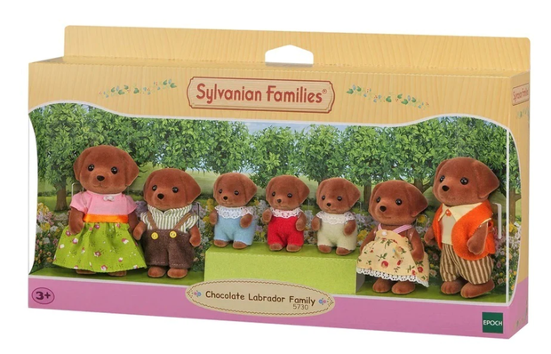 Chocolate Labrador Family of 7