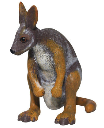 Rock Wallaby Small