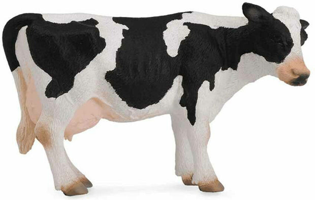Friesian Cow