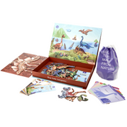 Magnetic Kit All About Dinosaurs