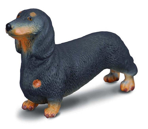 DACHSHUND