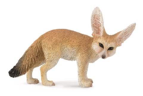 Fennec Fox