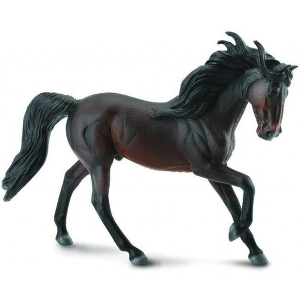 Andalusian Stallion Bay