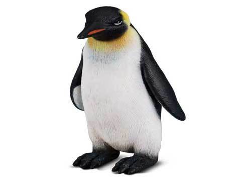 Emperor Penguin