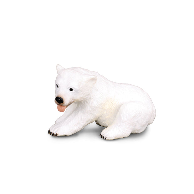 Polar Bear Cub Sitting