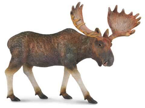 Elk/ Moose