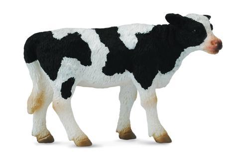 Friesian Calf standing