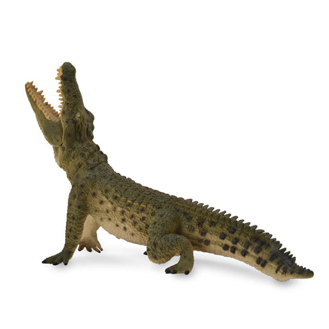 Crocodile Leaping (moveable Jaw)