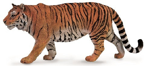 Siberian Tiger XL