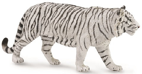 White Tiger Large
