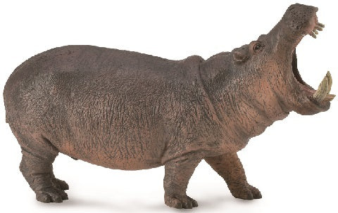 Hippopotamus Large
