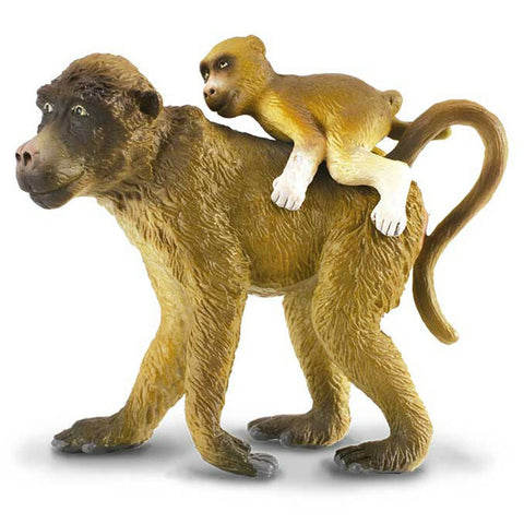 Baboon Female with Baby