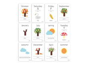 Cognitive Flash Cards- Days and Seasons