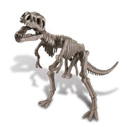 Dig a Dinosaur Skeleton - T Rex