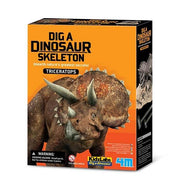Did a Dinosaur Skeleton - Triceratops