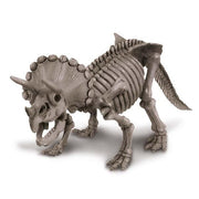 Did a Dinosaur Skeleton - Triceratops