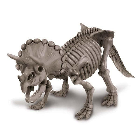 Did a Dinosaur Skeleton - Triceratops