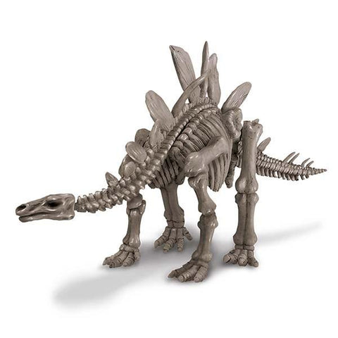 Dig a Dinosaur Skeleton - Stegosaurus
