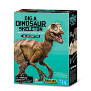 4m Dig a dinosaur Velociraptor