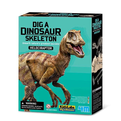 4m Dig a dinosaur Velociraptor